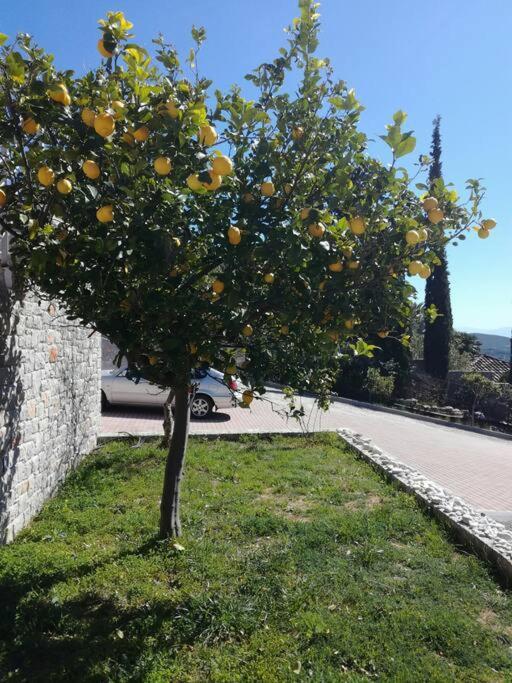 Nafplio, Hill With An Amazing View Apartment Exterior photo